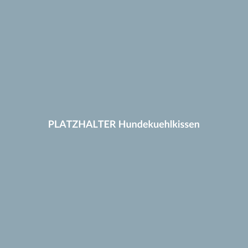 PLATZHALTER – Hundekühlkissen